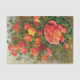 Kinder Jewel Rose Many Colors Vintager Katalog Seidenpapier