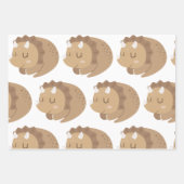 Kinder Niedlich Dinosaurier Geschenkpapier Set (Vorderseite 3)