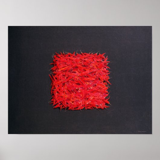 Kinder Poster (Vorne)