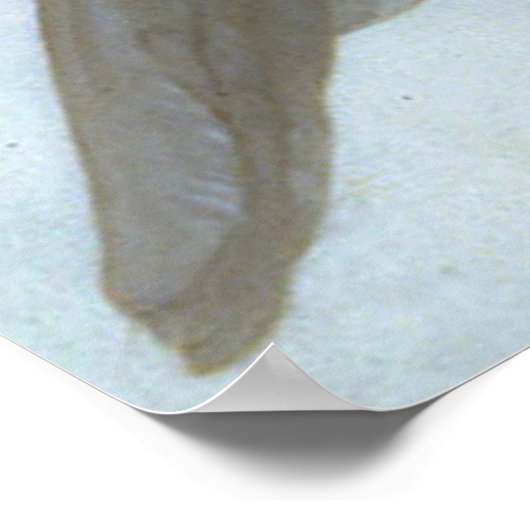 Kinder Poster (Ecke)