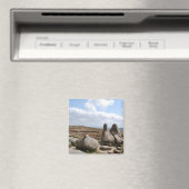 Kinder-Scout Magnet (In Situ (Geschirrspüler))