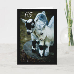 KINDER SIND ERSTAUNLICH, DASS SIE DIE **65** KARTE