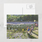 Kinder und Möwen Looe 2013 Postkarte (Vorne/Hinten)