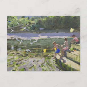 Kinder und Möwen Looe 2013 Postkarte