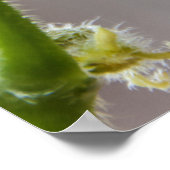 Kinderbetantike Poster (Ecke)