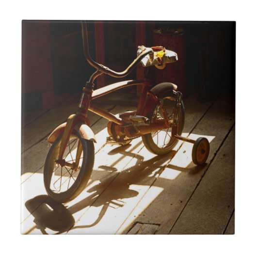 Kinderfahrrad in der ehemaligen Müllerei Fliese (Vorderseite)