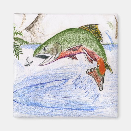 Kindergarten: Bachforelle Magnet (Vorne)