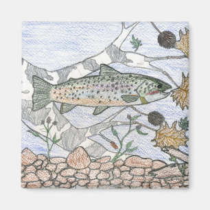 Kindergarten: Bachforelle Magnet