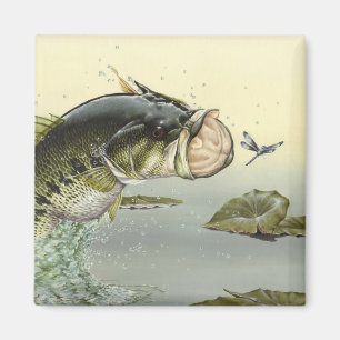 Kindergarten: Bass aus dem Largemouth Magnet