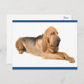 Kindergarten Gruß Postkarte (Vorne/Hinten)