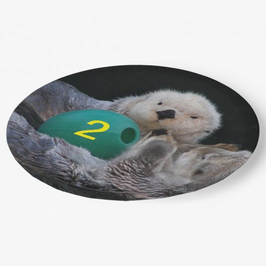 Kindergeburtenmeere Pappteller (Schrägansicht)