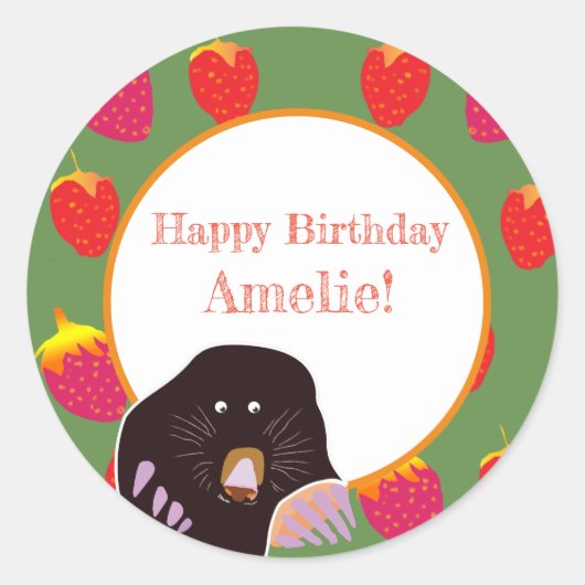 Kindergeburtstag-Aufkleber Runder Aufkleber (Vorderseite)