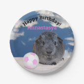 Kindergeburtstag Guinea Pig Rosa Fußball Maßgeschn Pappteller (Vorderseite)