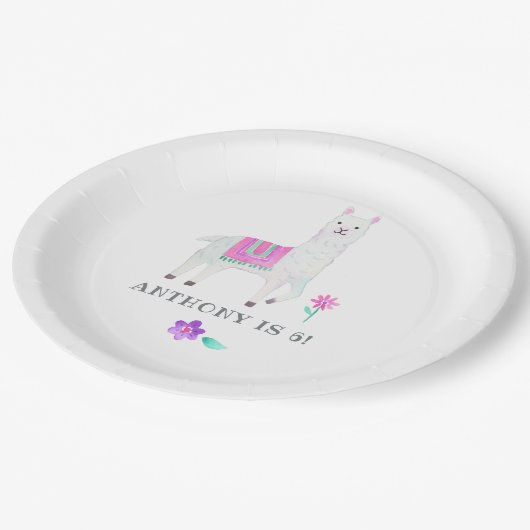 Kindergeburtstag-Party Pappteller (Schrägansicht)