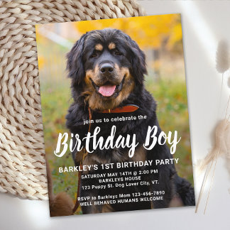 Kinderhund Geburtstagspartei Custom Pet Foto Einladungspostkarte