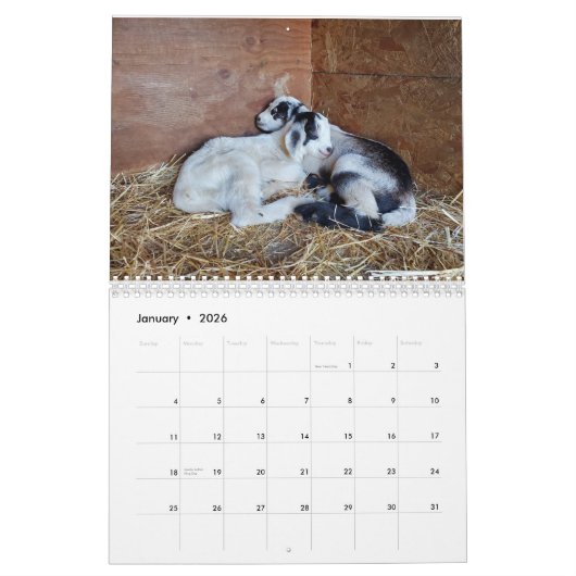 Kinderkalender Kalender (Jan 2026)