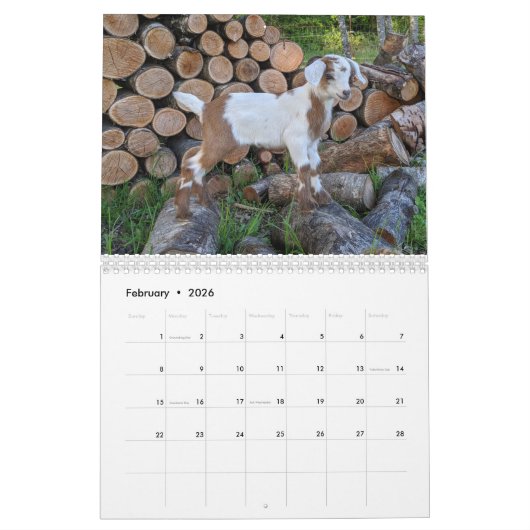 Kinderkalender Kalender (Feb 2026)