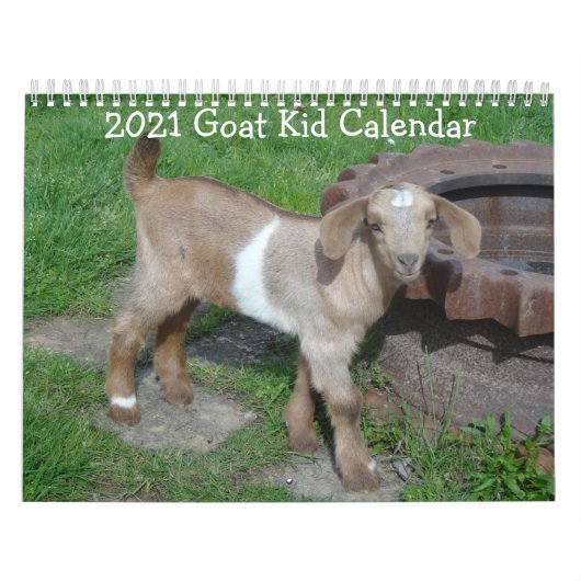 Kinderkalender Kalender (Titelbild)