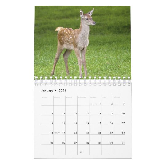 Kinderkalender Kalender (Jan 2026)