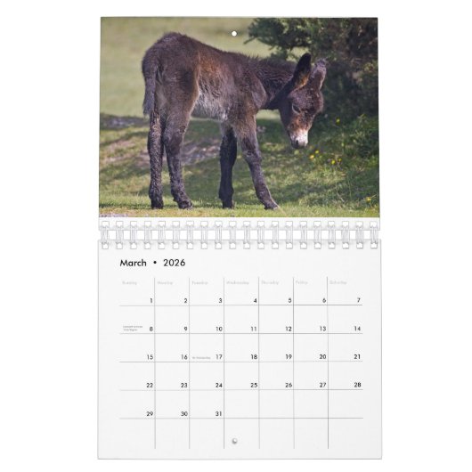 Kinderkalender Kalender (Mär 2026)