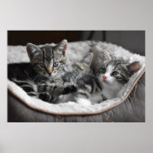 Kinderposter Poster (Vorne)