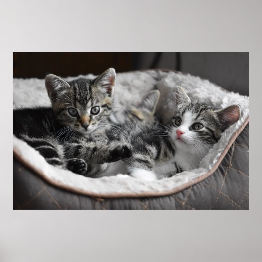 Kinderposter Poster (Vorne)