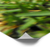 Kinderring-Schwänzchen Poster (Ecke)