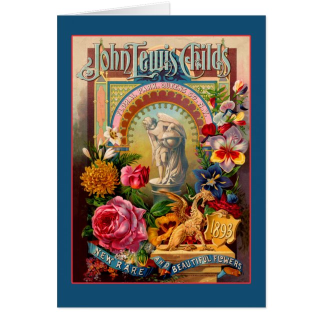 Kinders-seltenes Blumen-Samen-Paket Johns Lewis (Vorne)