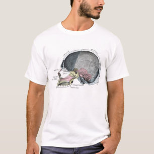 Kinderschädel mit Farbe T-Shirt