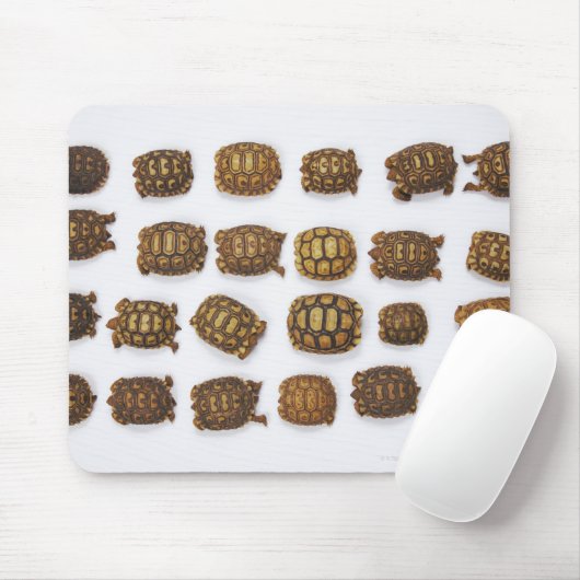 Kinderschildkröten in Reihen angeordnet Mousepad (Mit Mouse)