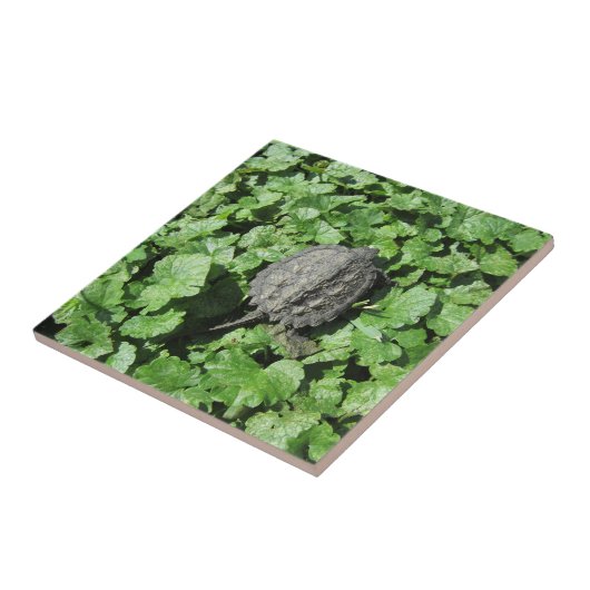 Kinderschnecke Fliese (Seite)