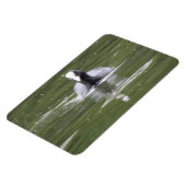 Kinderschwimmen Premium Magnet (Linke Seite)