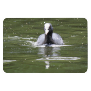 Kinderschwimmen Premium Magnet