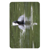 Kinderschwimmen Premium Magnet (Vertikal)