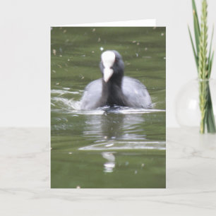 Kinderschwimmkarte Karte