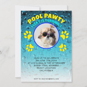 Kinderspielhund-Geburtstagsfeier für Foto im Pool Einladung