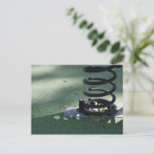 Kinderspielplatz 16 Metal Spring Postkarte (Stehend Vorderseite)