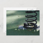 Kinderspielplatz 16 Metal Spring Postkarte (Vorne/Hinten)