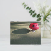 Kinderspielplatz 30 Ladybug rocking PostC Postkarte (Stehend Vorderseite)