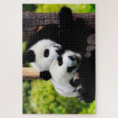 Kinderspielzeug Pandas, Puzzle Jigsaw (Vertikal)