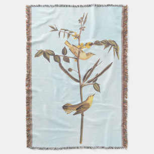 Kindervogel Decke