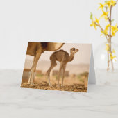 Kinderwagen Karte (Gelbe Blume)