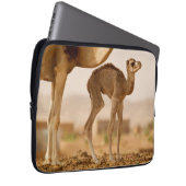 Kinderwagen Laptopschutzhülle (Vorne Rechts)