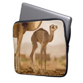 Kinderwagen Laptopschutzhülle (Vorderseite Links)