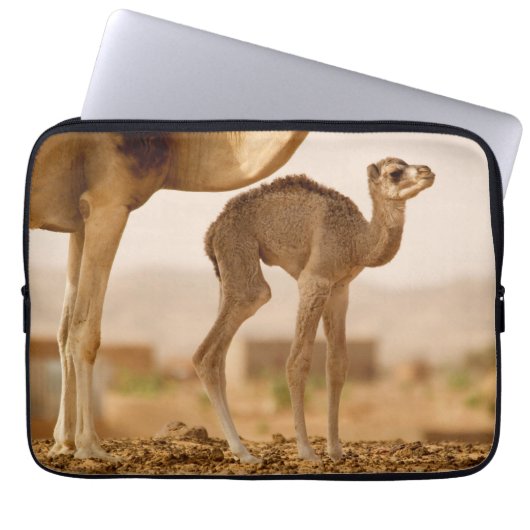 Kinderwagen Laptopschutzhülle (Vorderseite)