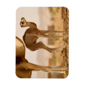 Kinderwagen Magnet (Vertikal)