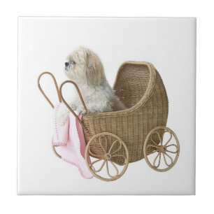 Kinderwagen Shih Tzu Fliese