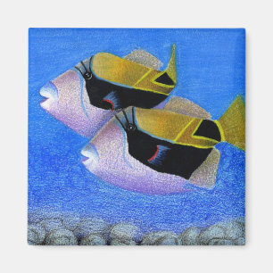 Kinderwettkampf: triggerfish magnet