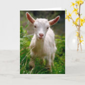 Kinderziege Karte (Gelbe Blume)