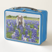 Kinderziege-Lunchbox Metall Brotdose (Vorderseite)